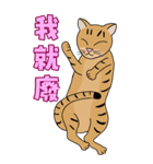 Tabby Milktea Cat III（個別スタンプ：6）