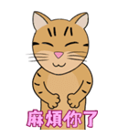 Tabby Milktea Cat III（個別スタンプ：7）