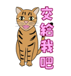 Tabby Milktea Cat III（個別スタンプ：8）