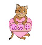 Tabby Milktea Cat III（個別スタンプ：11）