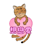 Tabby Milktea Cat III（個別スタンプ：12）