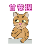 Tabby Milktea Cat III（個別スタンプ：16）