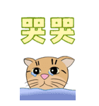 Tabby Milktea Cat III（個別スタンプ：33）