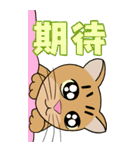 Tabby Milktea Cat III（個別スタンプ：34）