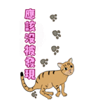 Tabby Milktea Cat III（個別スタンプ：37）