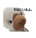そうしゅうへんのねこ（個別スタンプ：2）
