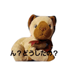 そうしゅうへんのねこ（個別スタンプ：3）
