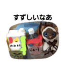 そうしゅうへんのねこ（個別スタンプ：8）