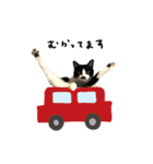 ちょびひげ猫の日常（個別スタンプ：13）