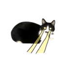 ちょびひげ猫の日常（個別スタンプ：16）