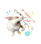 ネコ団欒（個別スタンプ：3）