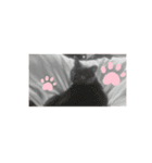 シャンティcat（個別スタンプ：7）