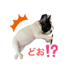 ぱんくんハウス3（個別スタンプ：1）