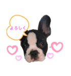 ぱんくんハウス3（個別スタンプ：3）