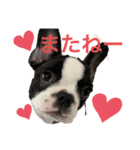 ぱんくんハウス3（個別スタンプ：5）