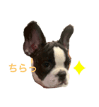 ぱんくんハウス3（個別スタンプ：8）