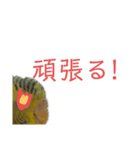 緑のズボンのインコ（個別スタンプ：2）
