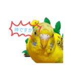 緑のズボンのインコ（個別スタンプ：3）