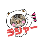 にゃんこ 楽しい スタンプ（個別スタンプ：11）