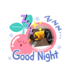 ふみふみふーたん（個別スタンプ：1）
