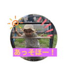 茉叶ちゃんすたんぷ4（個別スタンプ：21）
