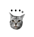 猫のよもぎ（個別スタンプ：8）