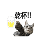 猫のよもぎ（個別スタンプ：9）
