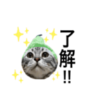 猫のよもぎ（個別スタンプ：22）