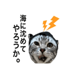 猫のよもぎ（個別スタンプ：30）