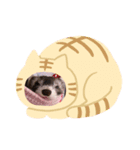 フェルリーナさん（個別スタンプ：2）