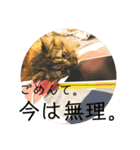 TONOスタンプ（個別スタンプ：9）