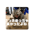 TONOスタンプ（個別スタンプ：18）
