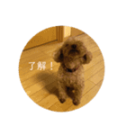 ろわのすたんぷ（個別スタンプ：7）