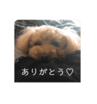 ろわのすたんぷ（個別スタンプ：8）