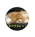 にゃーの巻（個別スタンプ：4）
