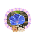 朝顔♥️（個別スタンプ：7）