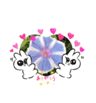 朝顔♥️（個別スタンプ：11）