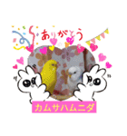 みんなのスタンプ8⃣（個別スタンプ：9）