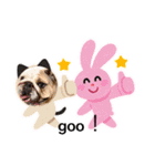 ピットブル＆ブルドッグ♡お茶目なブリガジ5（個別スタンプ：15）