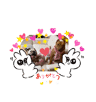 ピットブル＆ブルドッグ♡お茶目なブリガジ5（個別スタンプ：18）