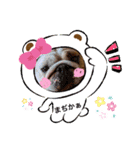 ピットブル＆ブルドッグ♡お茶目なブリガジ5（個別スタンプ：20）