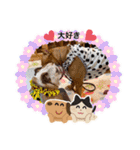 ピットブル＆ブルドッグ♡お茶目なブリガジ5（個別スタンプ：26）