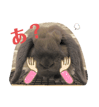 ウサギのこすえ②（個別スタンプ：3）