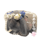 ウサギのこすえ②（個別スタンプ：4）