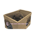 ウサギのこすえ②（個別スタンプ：7）