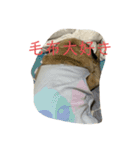 私の家のけんじぃさんとまろんさん（個別スタンプ：7）