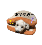 パンくん＆ペロちゃんのスタンプ♡（個別スタンプ：1）