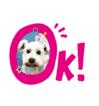 パンくん＆ペロちゃんのスタンプ♡（個別スタンプ：4）