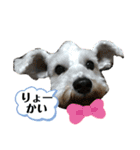 パンくん＆ペロちゃんのスタンプ♡（個別スタンプ：7）