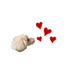 toypoodle parm（個別スタンプ：8）